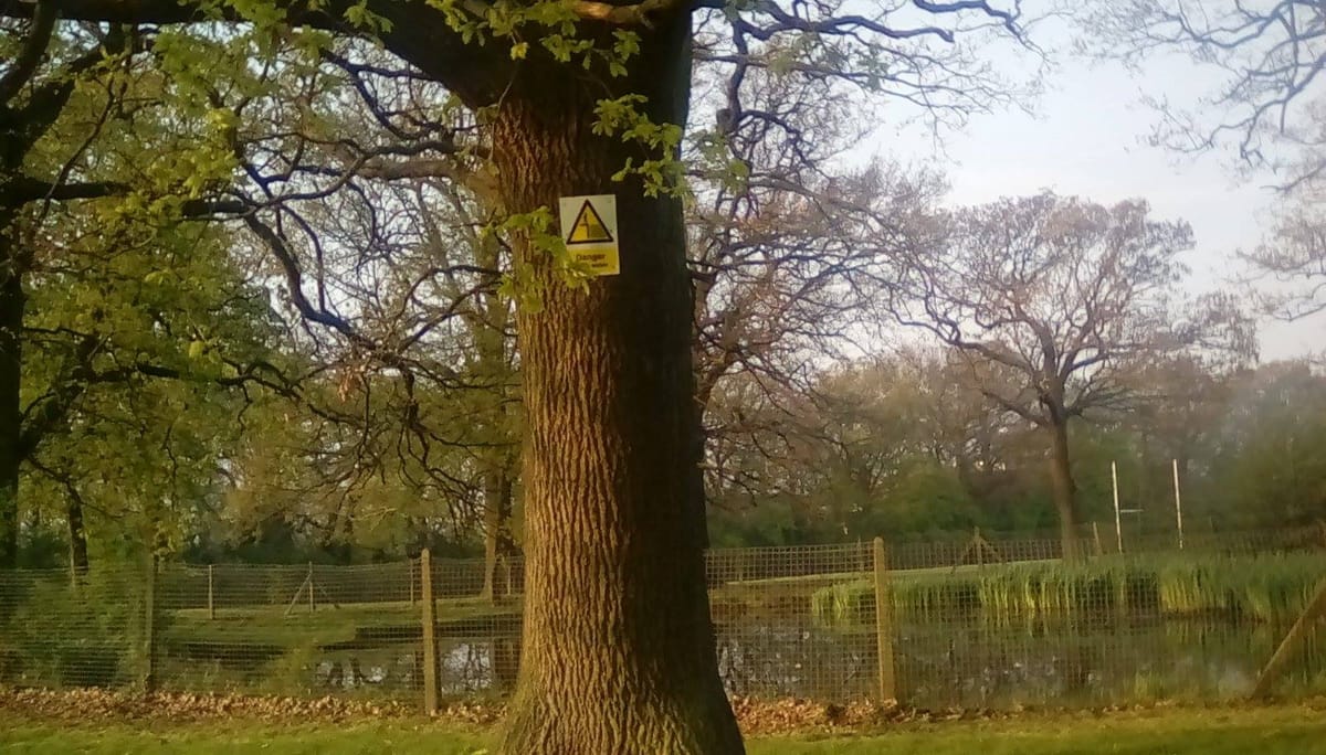 Green Woman Oasis project,  Downham: the community had a plan for health and nature - what happened?