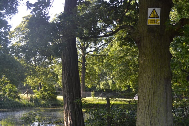 Football pitch visible behind trees, shrubs and ancient pond at centre of the playing fields. 